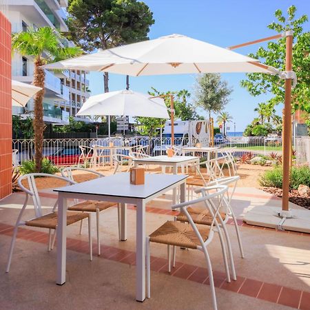 Terra Aurea Aparthotel 萨洛 外观 照片